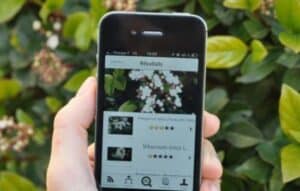 Aplicación para identificar plantas de manera sencilla y rápida