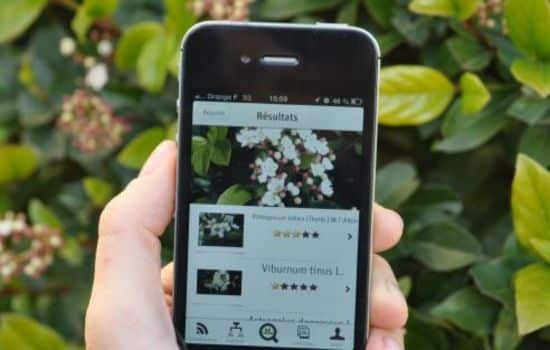 Aplicación para identificar plantas de manera sencilla y rápida